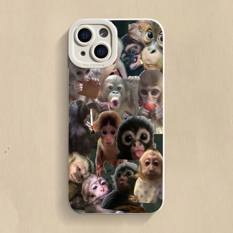 Zabawne etui na telefon z moty – Samsung Galaxy S25 recenzja i cena
